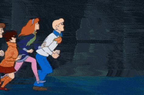 scooby doo find and share on giphy