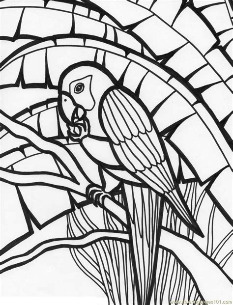 pics  jungle birds coloring pages tropical bird coloring