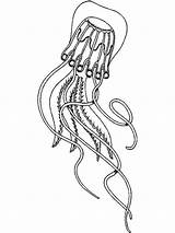 Jellyfish Coloring Pages Print Printable Recommended sketch template