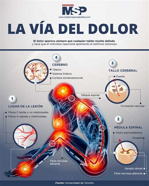 la  del dolor infografia