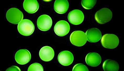 green led light ease  chronic pain futurity