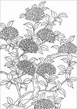 Coloring Tree Flowers Flowered Et Fleurs Pages Adult Vegetation Nice Created Illustration Old sketch template