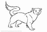 Weasel Coloring Stoat Lineart Animal Getcolorings Deviantart Pages 53kb 411px sketch template