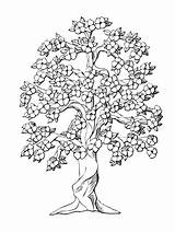 Coloring Tree Pages Oak Inchworm Peach Drawing Life Family Flower Color Adults Colouring Printable Getcolorings Complicated Getdrawings Trees Print Complex sketch template