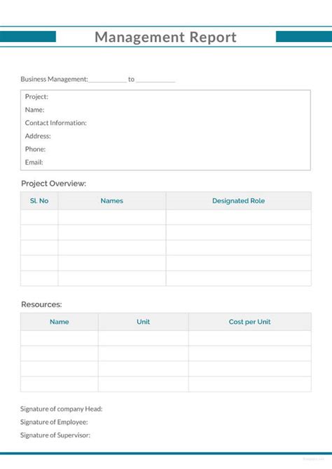 management report templates   word  documents   premium templates