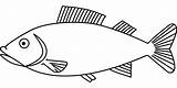 Fisch Fische Ausmalbild Malvorlage Einfache Peixe Hecht Peixinhos Pescaria Peixes Regenbogenfisch Heilpaedagogik Detiru Backofen sketch template