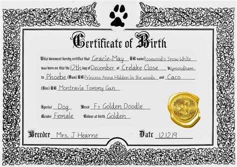 puppy birth certificate  black white colourway etsy
