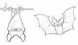Coloring Pages Bats Bat Printable Kids sketch template