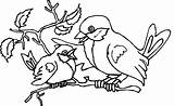 Coloring Bird Pages Preschoolers Family Popular Kids sketch template