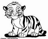 Animales Cub Colorea Tigre Rajah Animalitos Kolorowanki Animal Dibuja Animalito Aladdin Gratistodo Tigers Coloringhome Alladyn sketch template