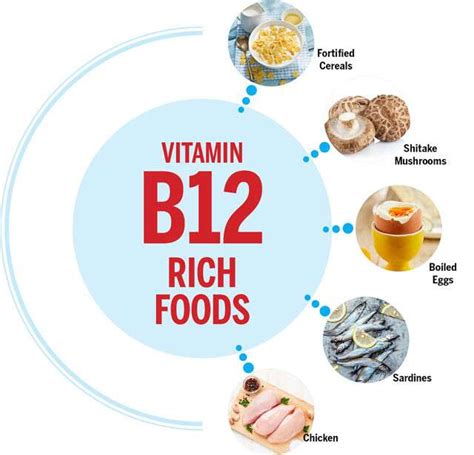 Vitamin B 12 Rich Indian Foods