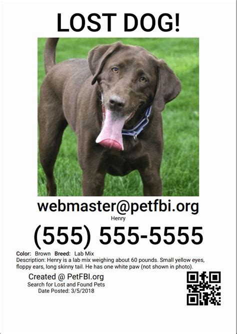 lost dog flyers template fresh create  lost   pet flyer event