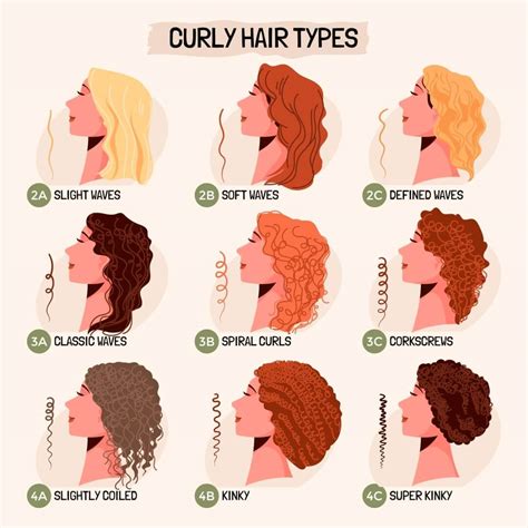 curly hair types   curly hair type chart   xrs beauty hair