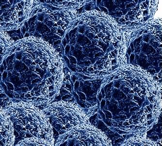 nanotechnology  today nanoparticles
