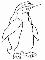 Coloring Penguin Pages Penguins Cartoon Clipart Animals Kids Library Cliparts Printable Color Clip Galapagos Para Colorear Pinguino Penguen Print Number sketch template