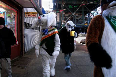 Furries M Scott Brauer Photographer In Boston