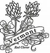 Vermont Coloring Flowers State Pages Map Printable Drawing Bird Clipart Supercoloring Categories sketch template