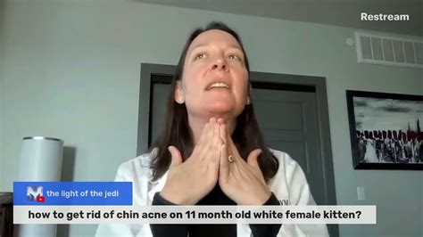 rid  chin acne  cats  vet explains youtube