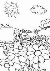 Coloring Field Flowers Feilds Bumblebee Pages Color Activities Designlooter Printable 56kb 854px Getdrawings Getcolorings sketch template