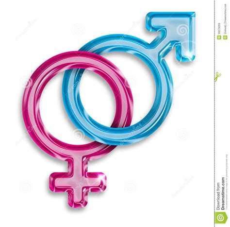 male and female gender symbols royalty free stock images