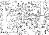 Selva Dschungeltiere Giungla Dżungla Tiere Magiczna Kolorowanka Dschungel Kolorowanki 3ab561 Getbutton Vögel Divertidos Aves Azcoloring Malvorlagen sketch template