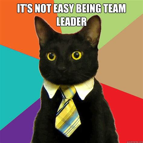 leader cat success dimensions