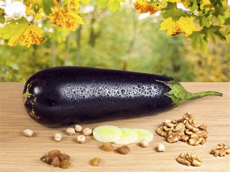 eggplant walnut pate dr weil s healthy kitchen