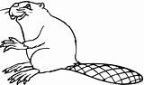 Coloring Beaver Pages Beavers Printable Color Drawing Supercoloring sketch template