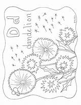 Dandelion Letter Homeschool Inature sketch template