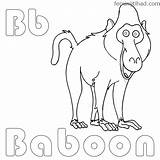 Baboon Coloringfolder sketch template