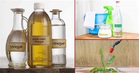 practical ways    natural vinegar