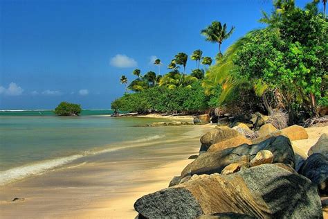 lesbian and gay friendly caribbean destinations the best islands