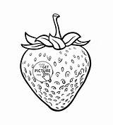 Strawberry Coloring Pages Drawing Kids Fruit Cute Realistic Pencil Plant Printable Fruits Westie Wuppsy Printables Color Getdrawings Getcolorings Print Choose sketch template