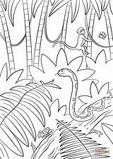 Animali Foresta Scena Disegno Giungla sketch template