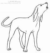 Coonhound Hound Tick Lineart Anbu Flashez sketch template