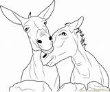 Pitara Donkey U2013 sketch template