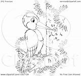 Woodpecker Outline Coloring Illustration Royalty Clip Bannykh Alex Clipart Background sketch template