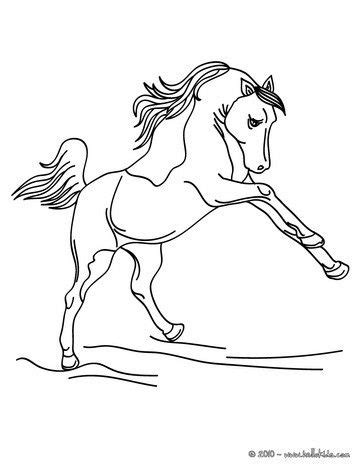 wild horse coloring page cute  amazing farm animals coloring page