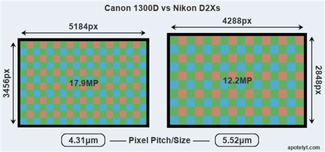 canon   nikon dxs comparison review