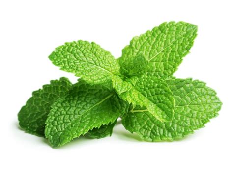 peppermint nutrition information eat