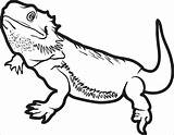 Coloring Lizard Kids Printable Pages Coloringbay sketch template