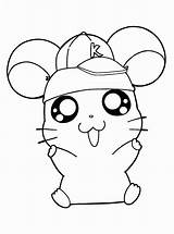 Hamster Coloring Pages Cute Printable Getcolorings Name sketch template