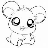 Coloring Pages Cute Animal Hamster Small Colorings Via sketch template