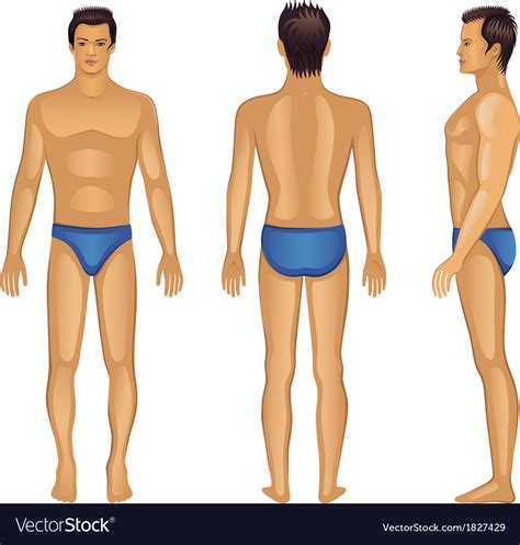 front  side views man royalty  vector image