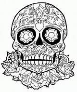 Coloring Pages Skull Cool Popular Skulls sketch template