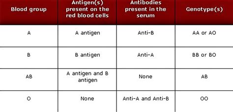 blood types  antigens chart blood types chart blood type chart