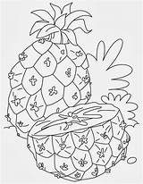 Abacaxi Colorir Desenhos sketch template