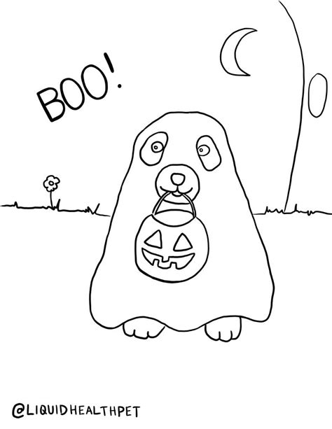 halloween pet coloring pages liquid health pets
