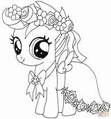 Coloring Pony Little Pages Scootaloo Printable Paper Drawing sketch template