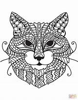 Cat Coloring Zentangle Head Pages Adult Cats Blank Printable Template Adults Categories sketch template